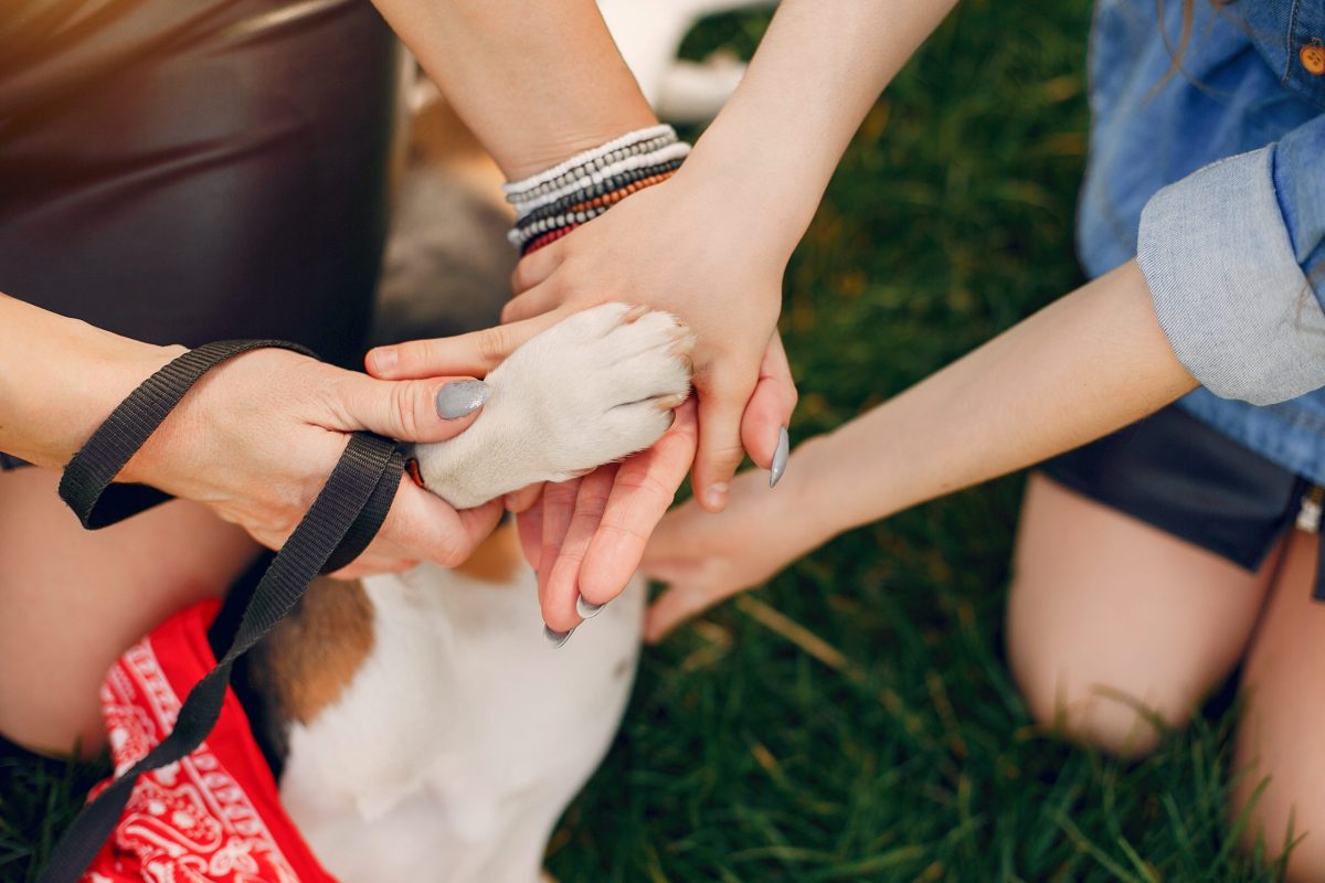 Beautiful mother with daughter. Family in a spring park. Woman in a blue shirt. Family with a cute dog