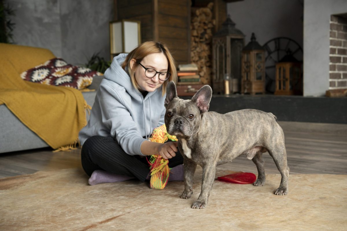 dog-lifestyle-care-with-owner