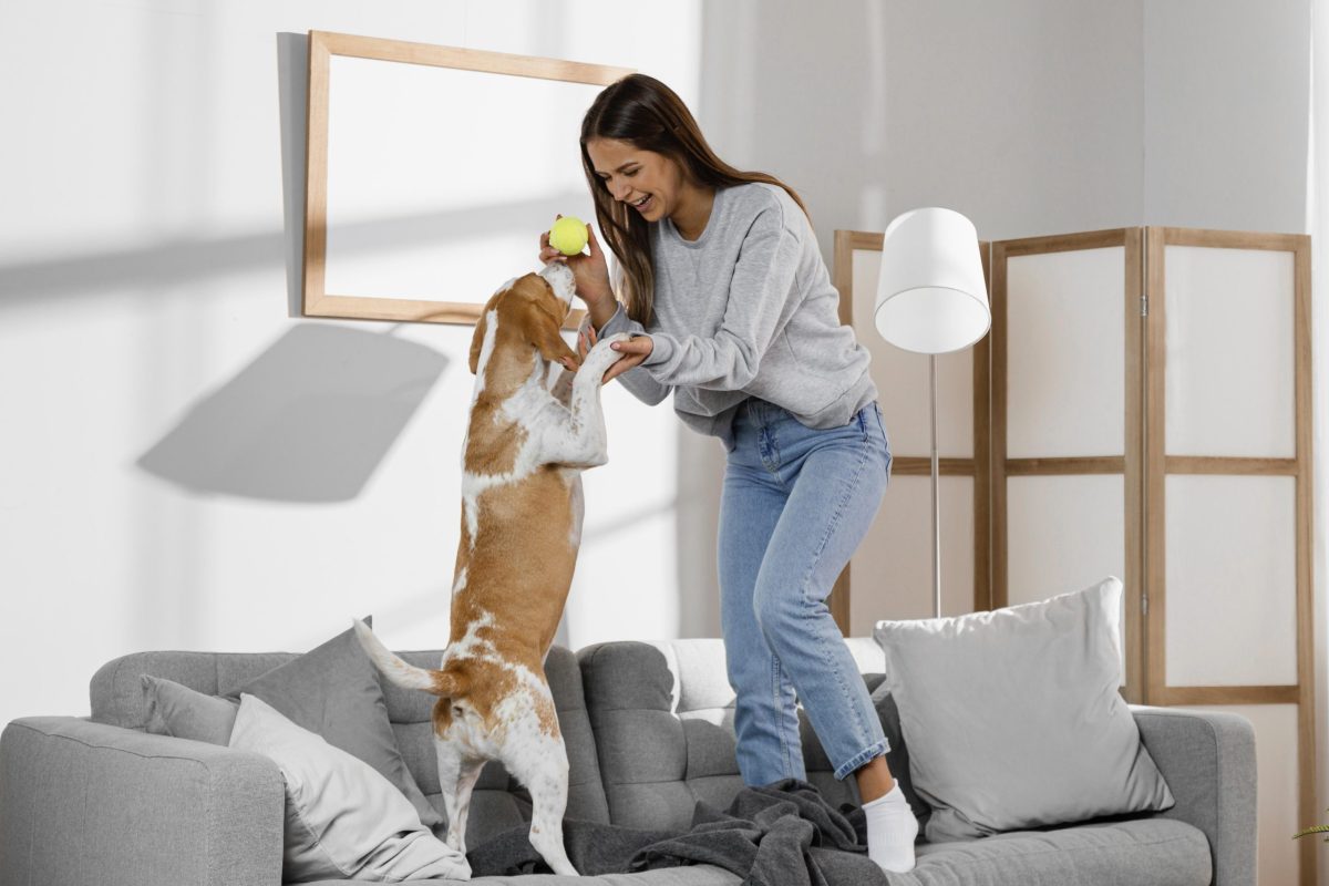 full-shot-girl-dog-standing-couch