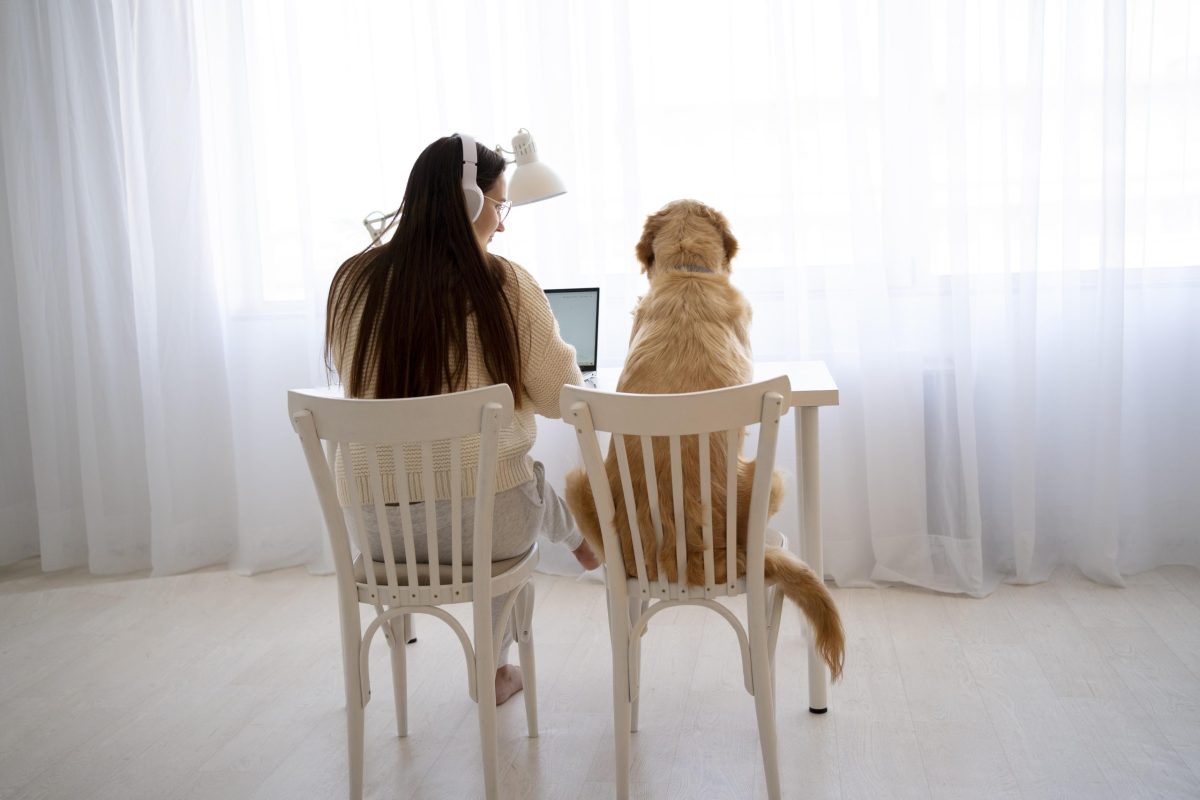 full-shot-woman-dog-sitting-chairs