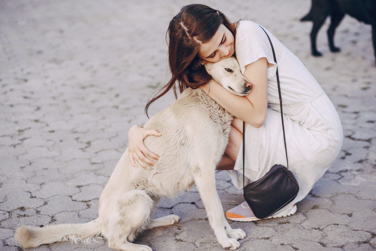 A beautiful girl walking in a sunny city and playing with a dog