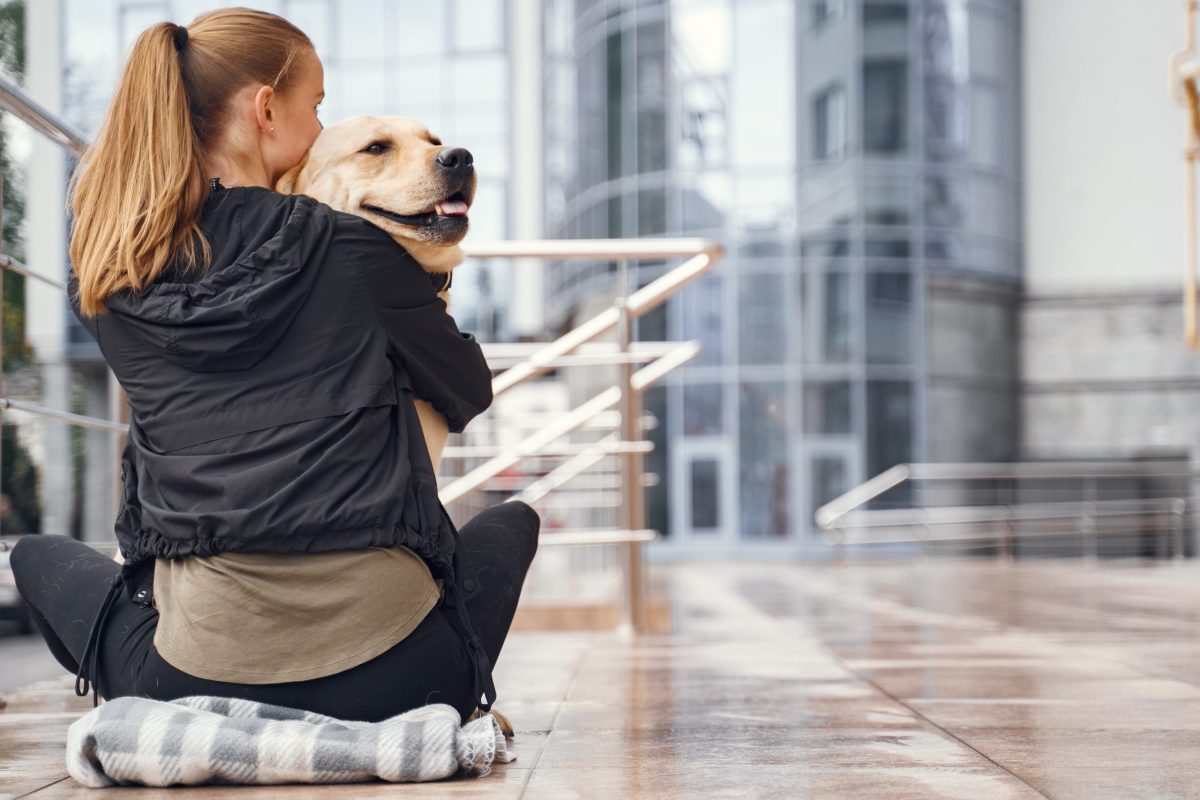 Owner and labrador retriever dog in the city. Attractive sporty woman with dog. Golden retriever.